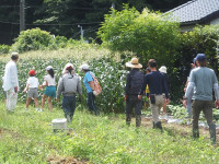 DSCF9347