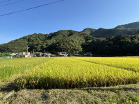 IMG_0806